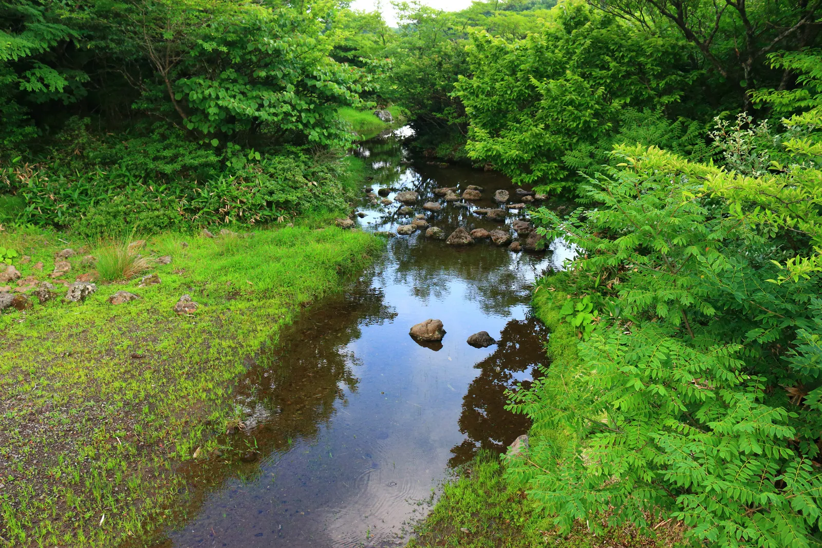Caspian Sea coastline in Ramsar