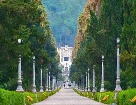 Caspian coast forest and sea near Ramsar