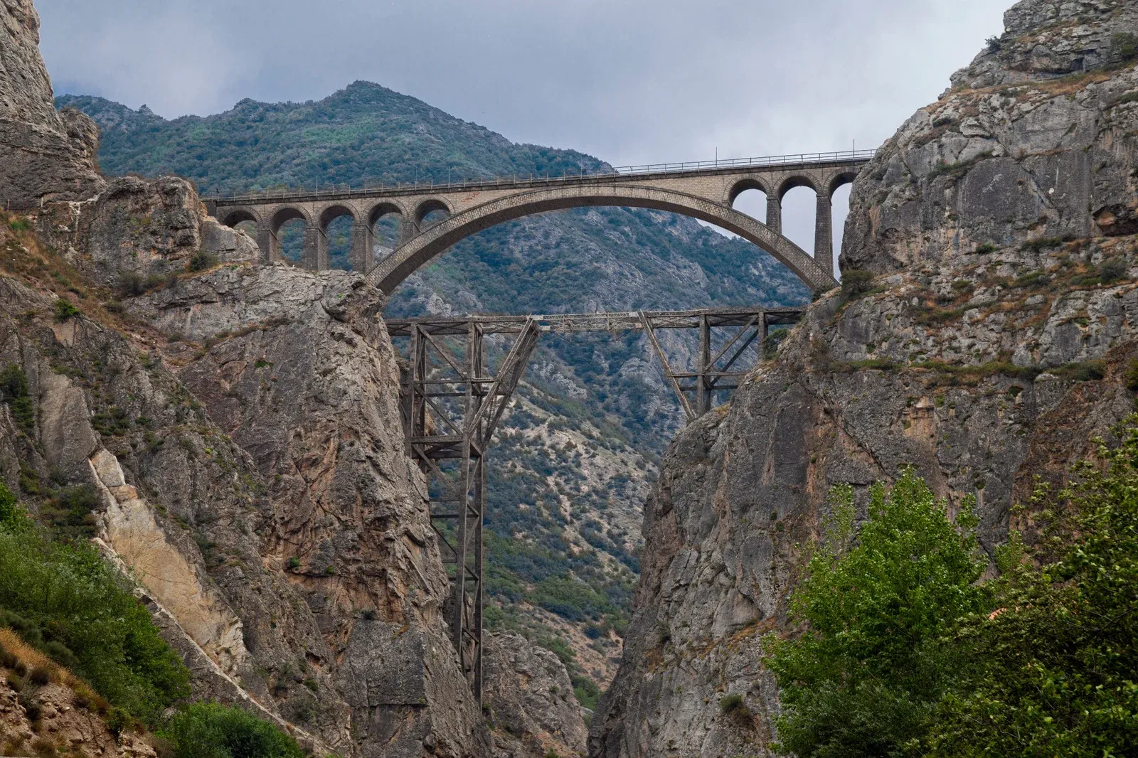 Specialized Services